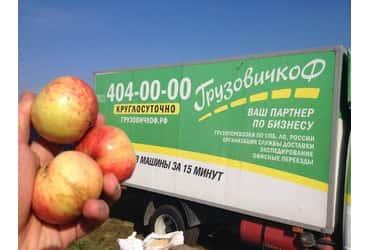 «ГрузовичкоФ» стал «яблочным» спонсором
